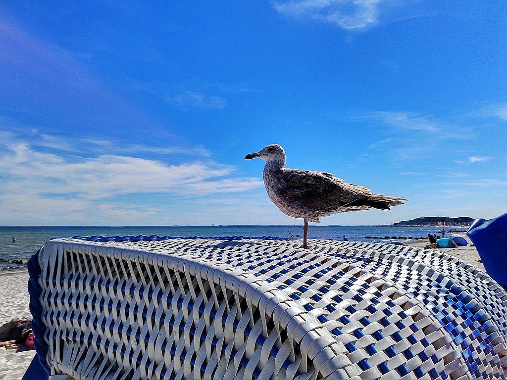 Tagesfahrten im August 2025 - Grömitz - ein Tag an der Ostsee