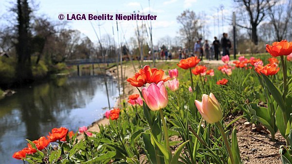 Landesgartenschau Beelitz © LAGA Beelitz Nieplitzufer