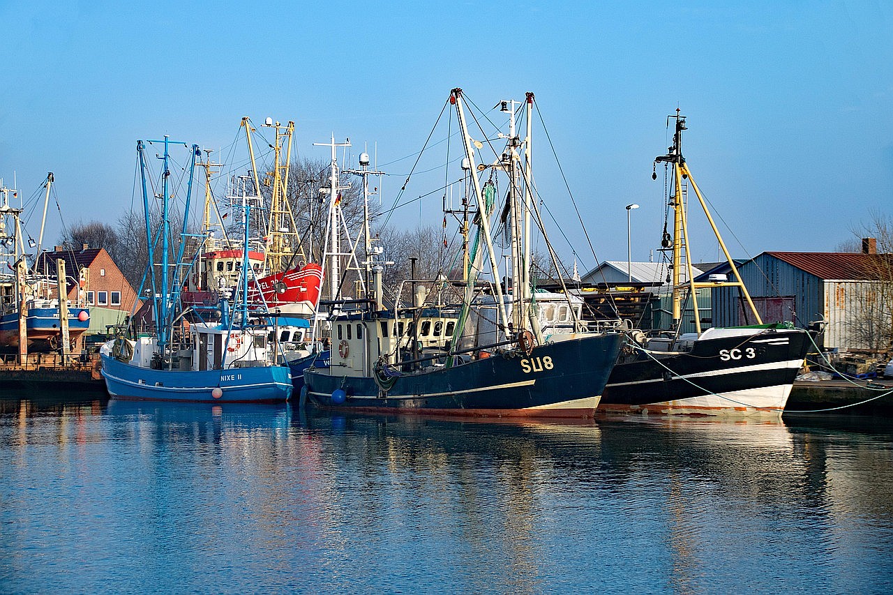 Kutterregatta-Tage in Büsum - Tagesfahrten im Juli 2026