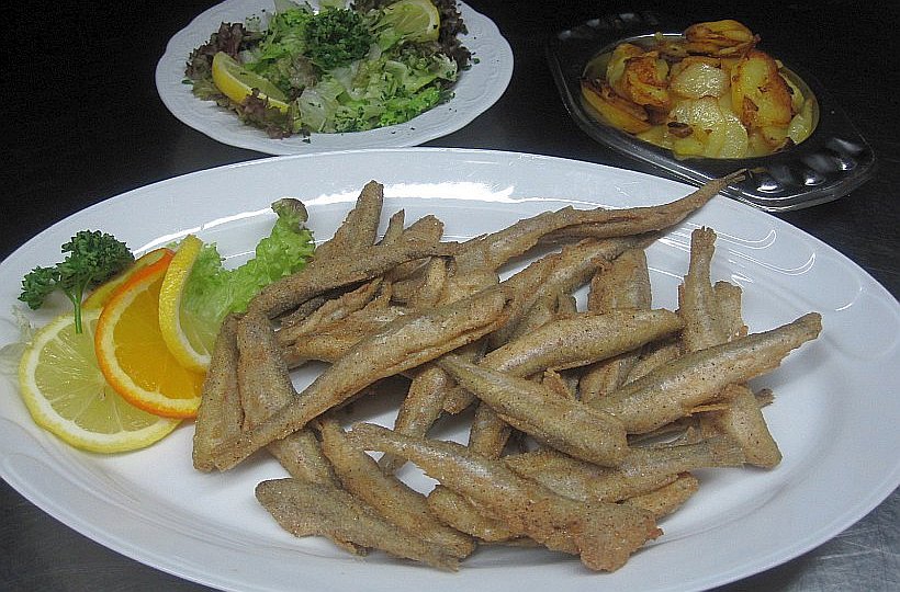 Tagesfahrt im April 2026 zum Stintessen