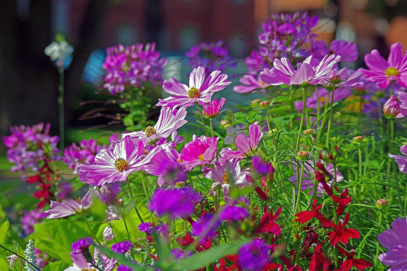 Laga in Bad Nenndorf - Tagesfahrt im Mai 2026 Laga in Bad Nenndorf - Tagesfahrt im Mai 2026