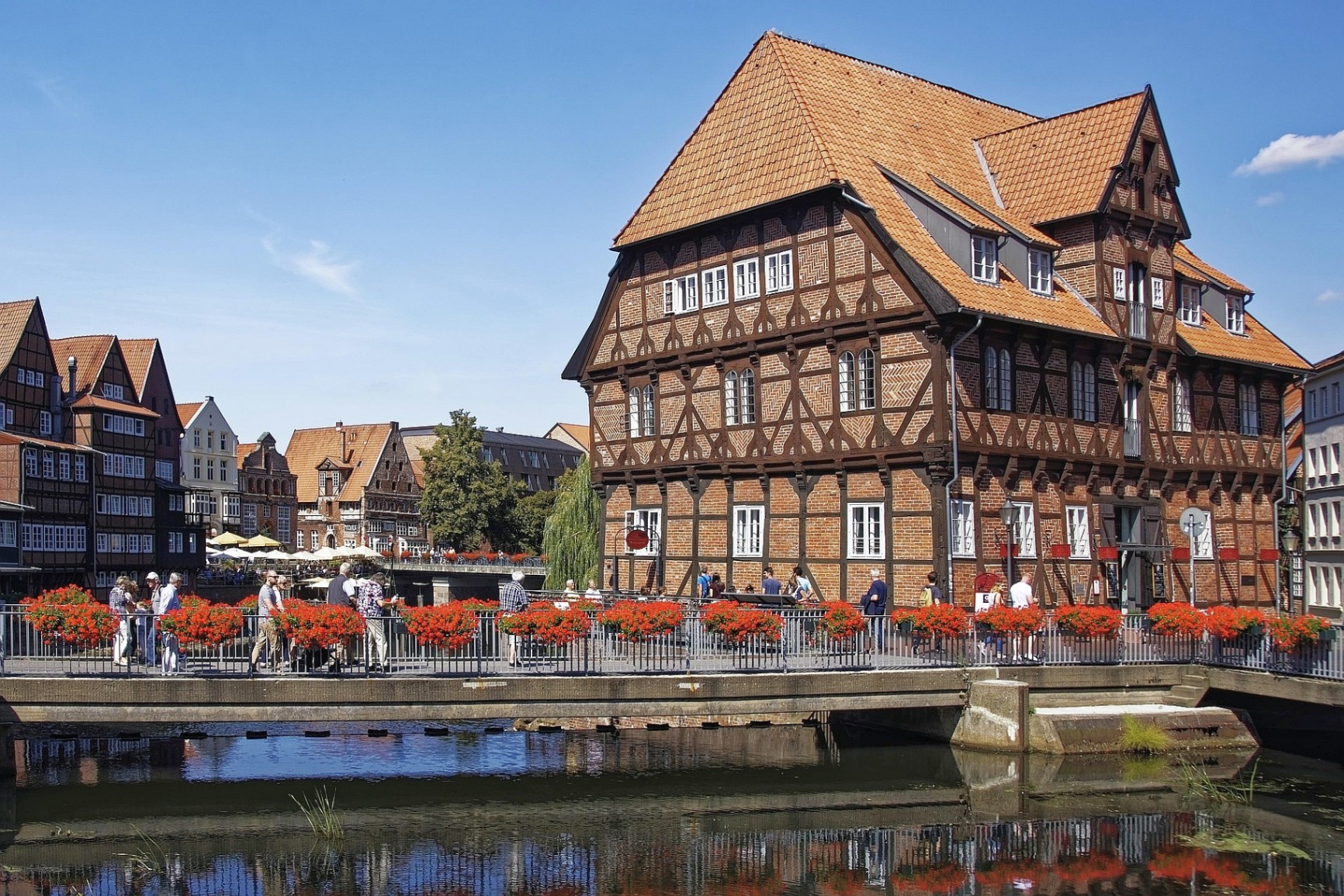 Rote rosen spezial in Lüneburg - Tagesfahrt im Mai 2026 Rote rosen spezial in Lüneburg - Tagesfahrt im Mai 2026