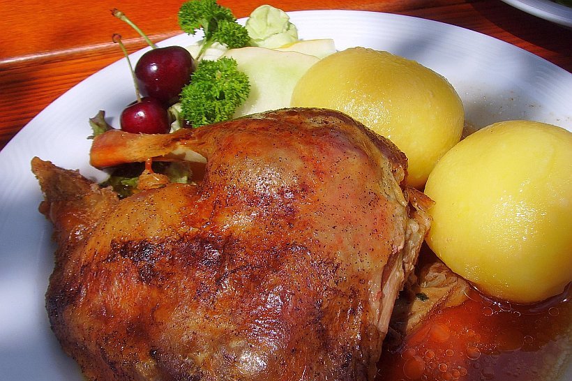 Gänsebraten am Arendsee - Tagesfahrten im November