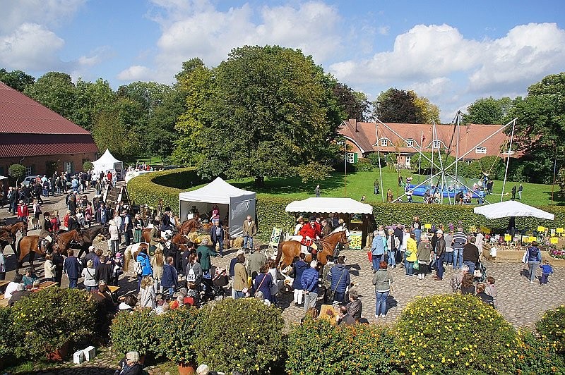 Tagesfahrten im Oktober 2025 - Herbstmarkt LebensArt auf Gut Basthorst