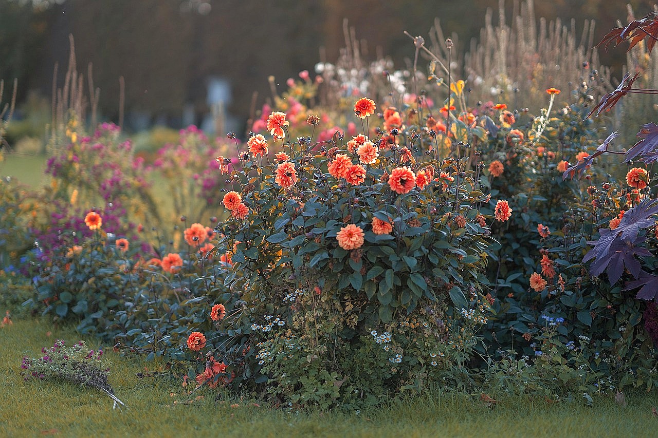 Saisonabschluss auf der Landesgartenschau Bad Nenndorf - Tagesfahrten im September 2026
